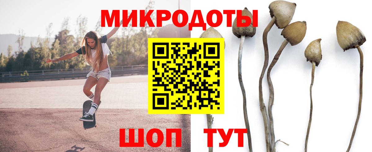 Галлюциногенные грибы GOLDEN TEACHER Белгород