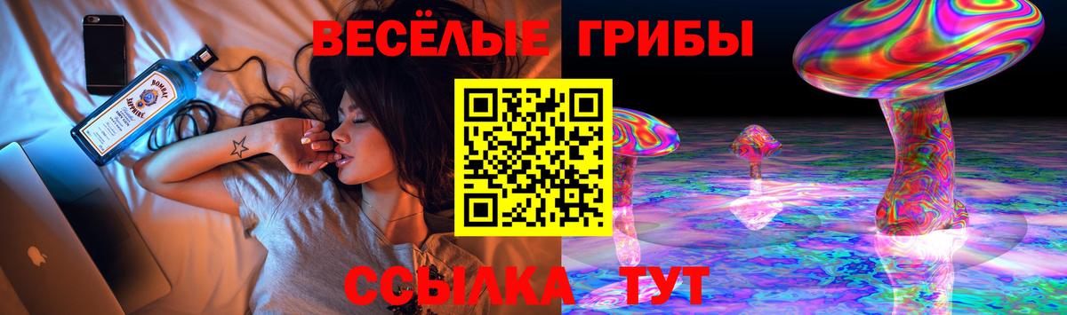 Белгород  Псилоцибиновые грибы GOLDEN TEACHER  Галлюциногенные грибы мицелий  Вход с VPN 
